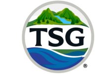 Logo for Toney Green Logo for Toney Green