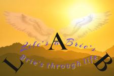 Logo for ZayBrina Everett Logo for ZayBrina Everett